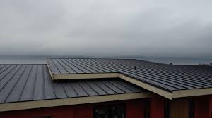 Best Sheet Metal Roofing  in Cape Carteret, NC